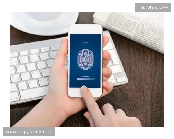 如何通过官方入口安全登录pg电子app，保障个人信息与资金安全